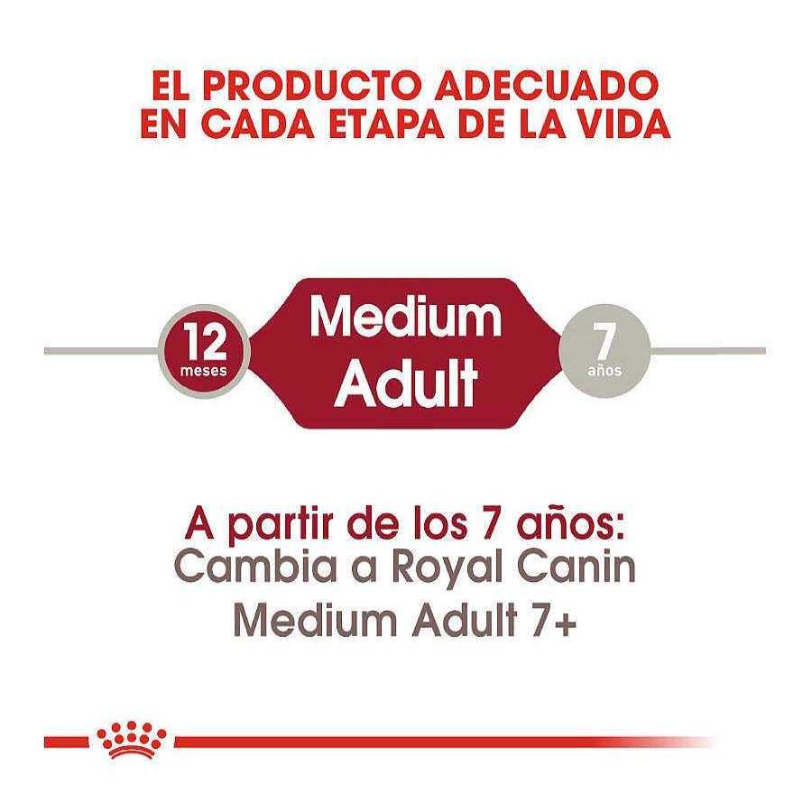 Perros Royal Canin | Royal Canin Medium Adult Pienso Para Perros