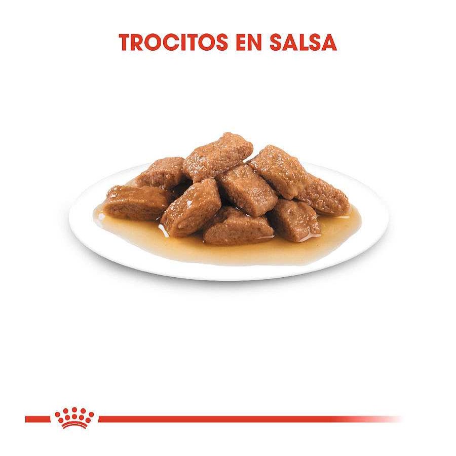 Perros Royal Canin | Royal Canin Medium Adult Sobre En Salsa Para Perros