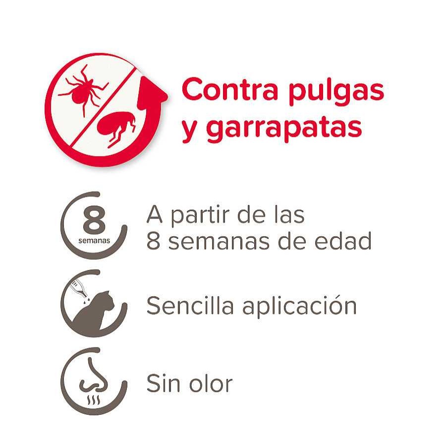 Gatos Beaphar Pipetas | Beaphar Fiprotec Pipetas Antiparasitarias Para Gatos