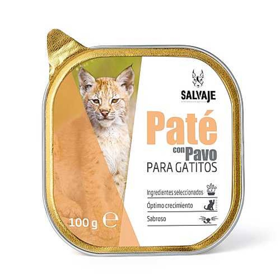 Gatos Salvaje | Salvaje Pavo En Pat Tarrina Para Gatitos