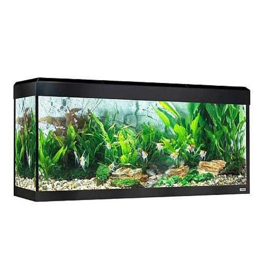 Otros Animales Fluval Acuarios | Acuario Roma Led Bluetooth Para Peces Color Negro