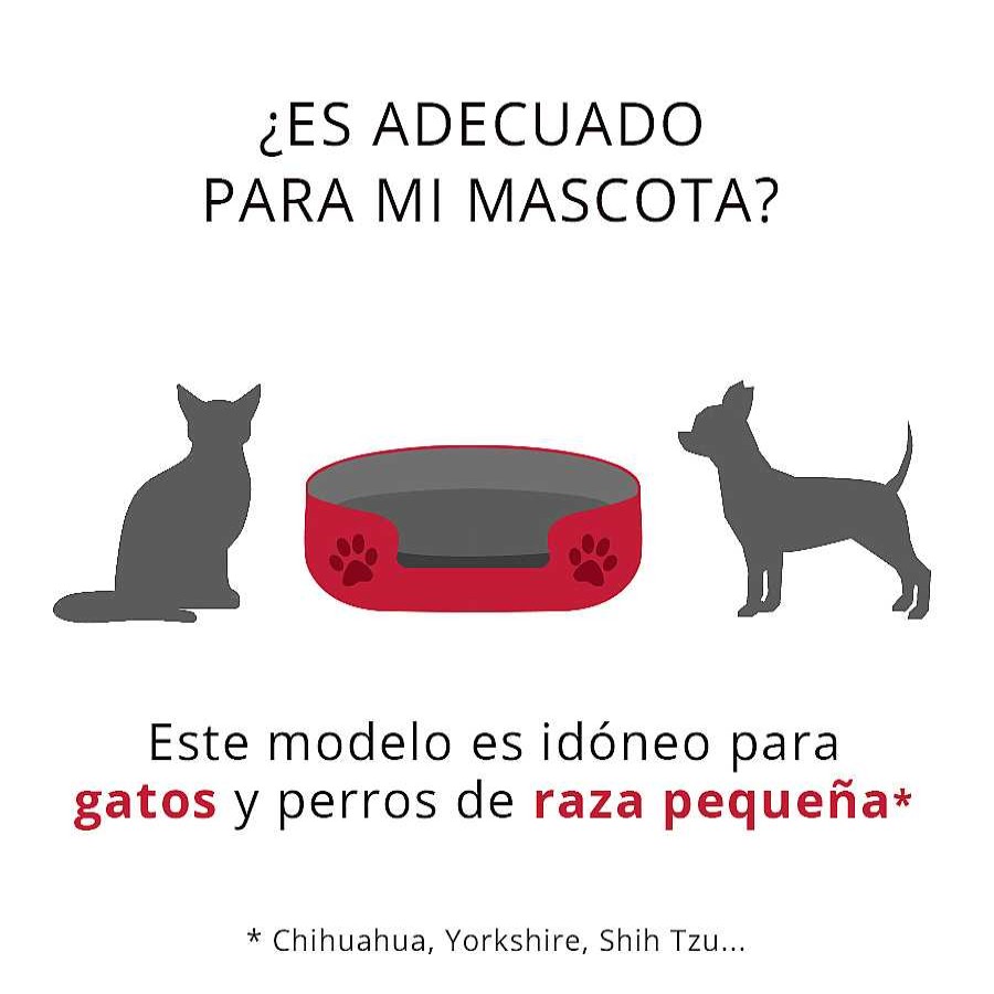 Gatos Catshion Camas Para Gatos | Catshion Relax Erizo Cama Igl Para Gatos