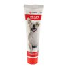 Perros Flamingo Salud Dental | Flamingo Pet Care Pasta De Dientes Para Perros