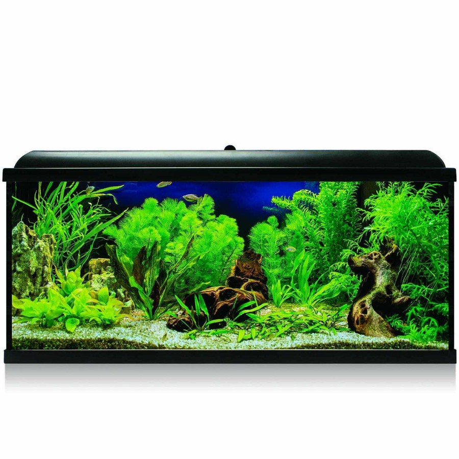 Otros Animales ICA Acuarios | Ica Kit Aqua Led Pro 130 Negro Con Filtro Interior Para Acuarios