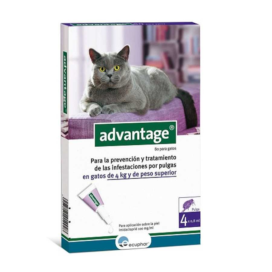 Gatos Advantage Pipetas | Advantage Pipetas Antiparasitarias Para Gatos