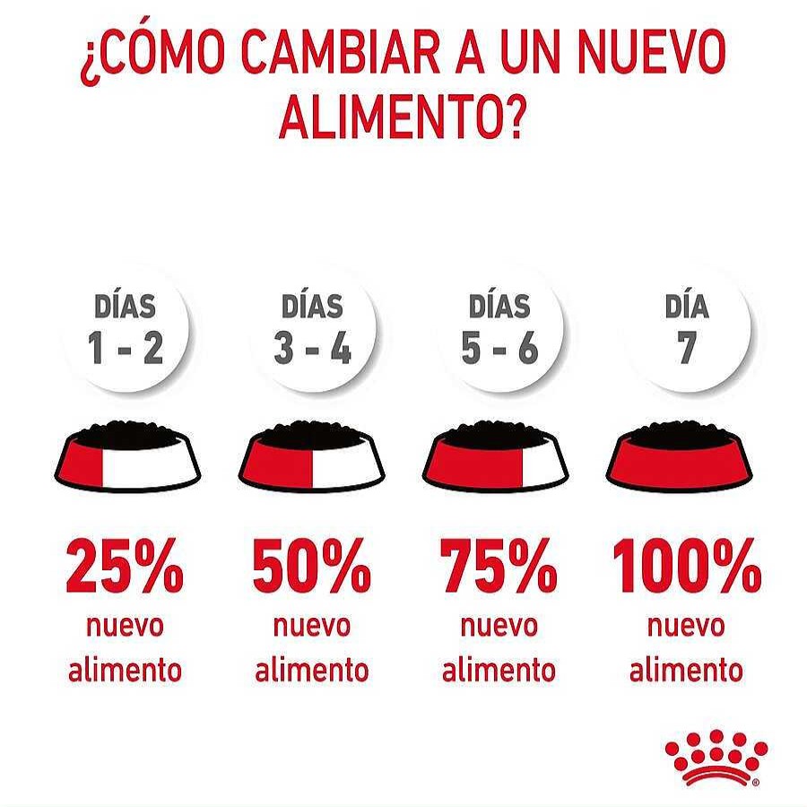 Gatos Royal Canin | Royal Canin Intense Hairball Pienso Para Gatos