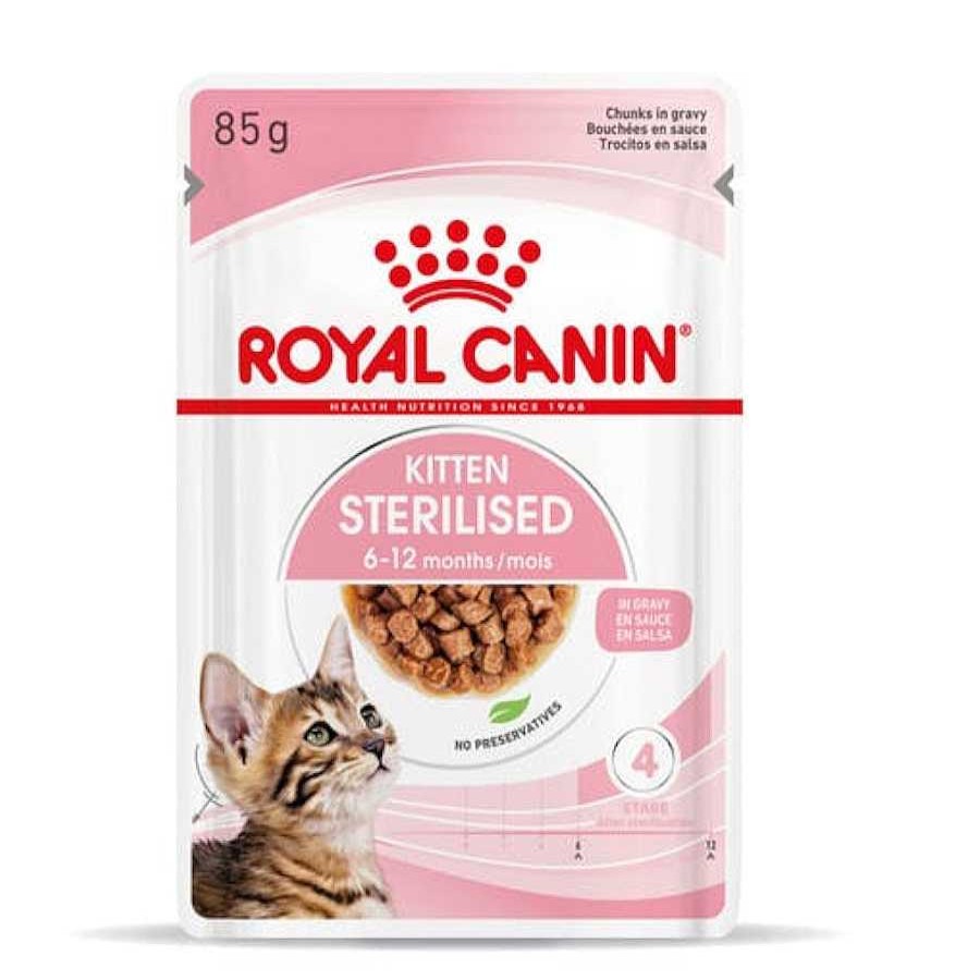 Gatos Royal Canin | Royal Canin Kitten Sterilised Salsa Sobre Para Gatos