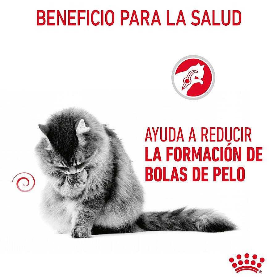 Gatos Royal Canin | Royal Canin Intense Hairball Pienso Para Gatos