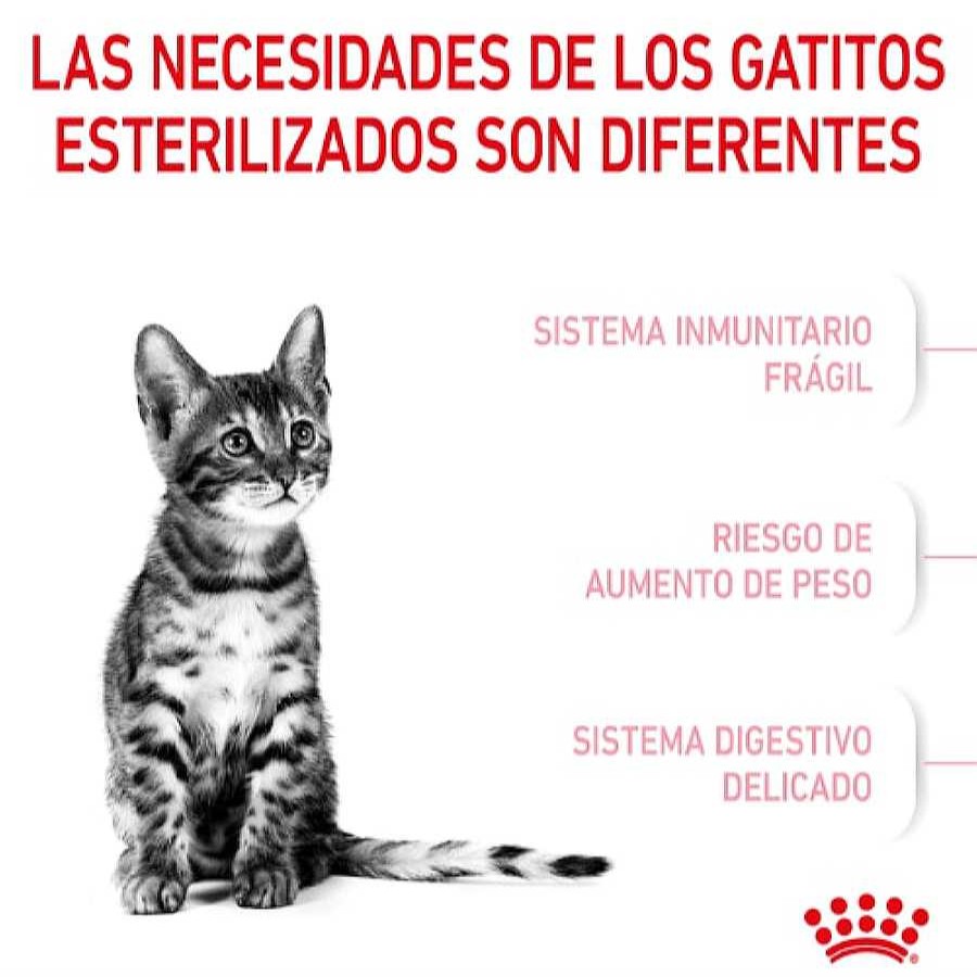 Gatos Royal Canin | Royal Canin Kitten Sterilised Pienso Para Gatos