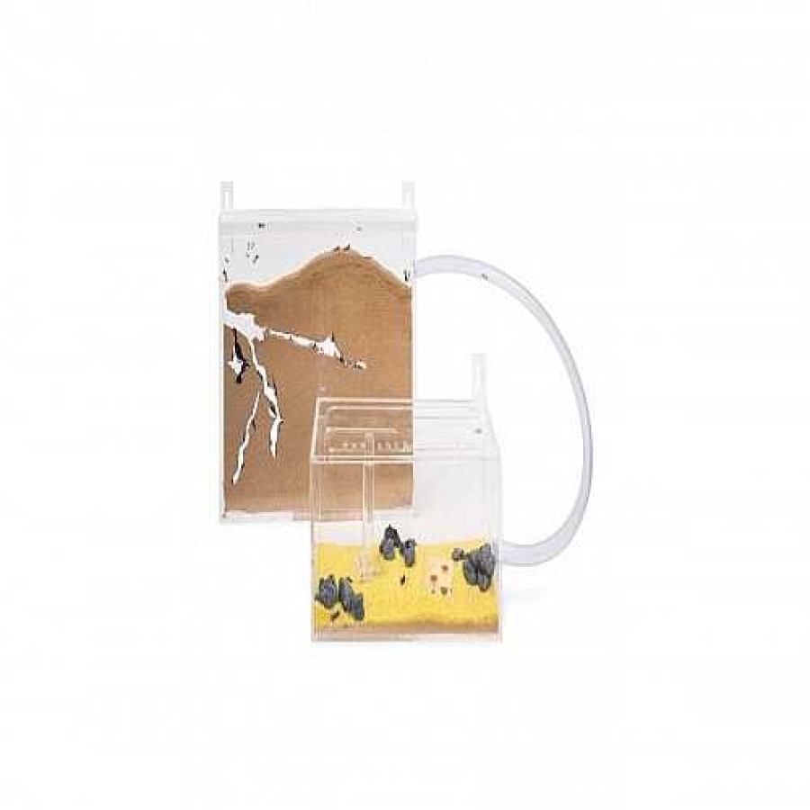 Otros Animales Anthouse Insectos | Kits Hormiguero Acr Lico Grande Para Pared