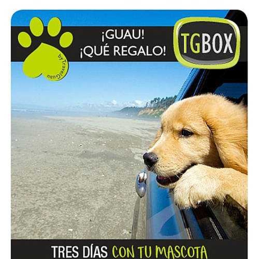 Otros Animales Tgbox Servicios | Tres D As Con Tu Mascota Tgbox