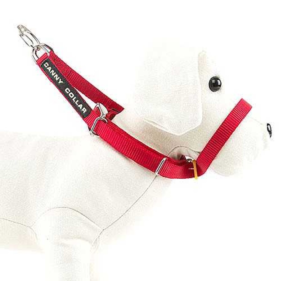 Perros Canny Bozales | Canny Collar De Adiestramiento Rojo Para Perros