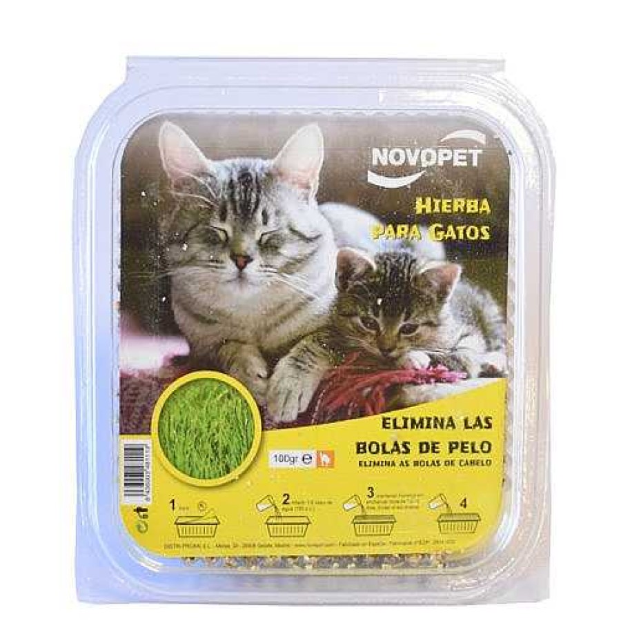 Gatos Novopet Hierba | Novopet Hierba Gatera