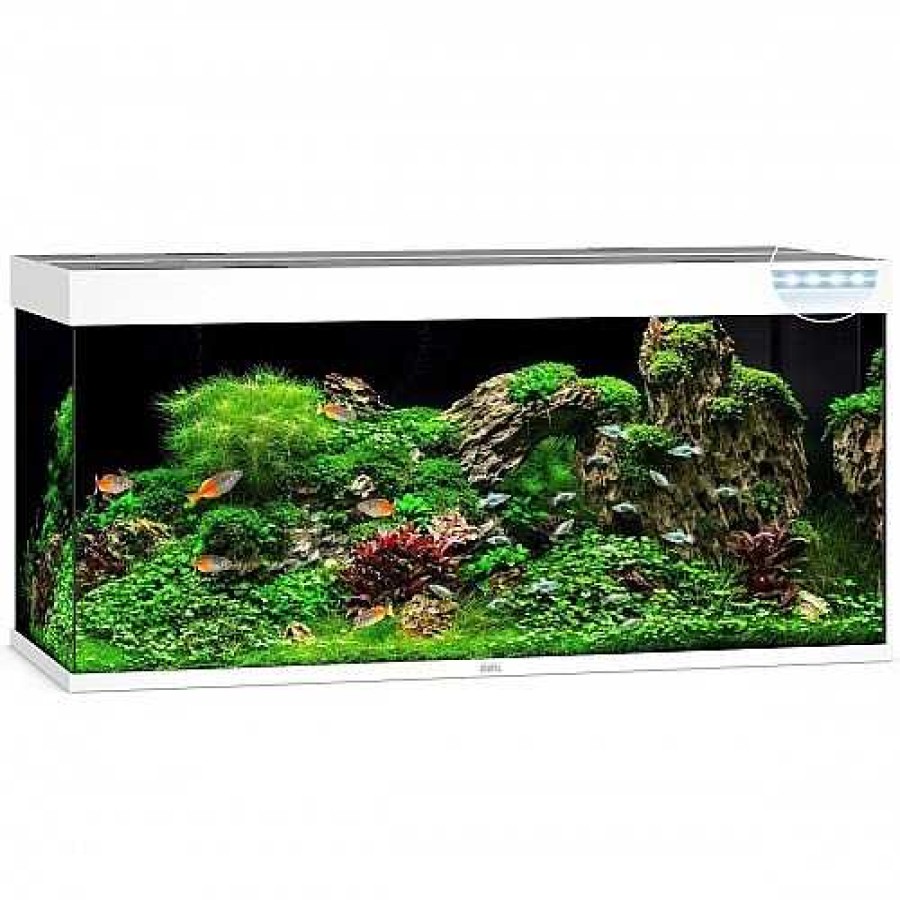 Otros Animales Juwel Acuarios | Juwel Acuario Rio Rectangular Led Blanco