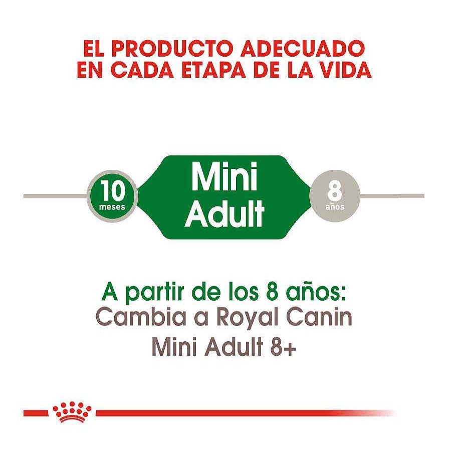 Perros Royal Canin | Royal Canin Mini Adult Pienso Para Perros