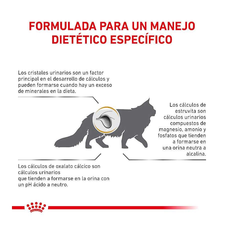 Gatos Royal Canin | Royal Canin Veterinary Urinary Pienso Para Gatos