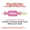 Gatos Royal Canin Pienso Para Gatitos | Royal Canin Kitten Maine Coon Pienso Para Gatos