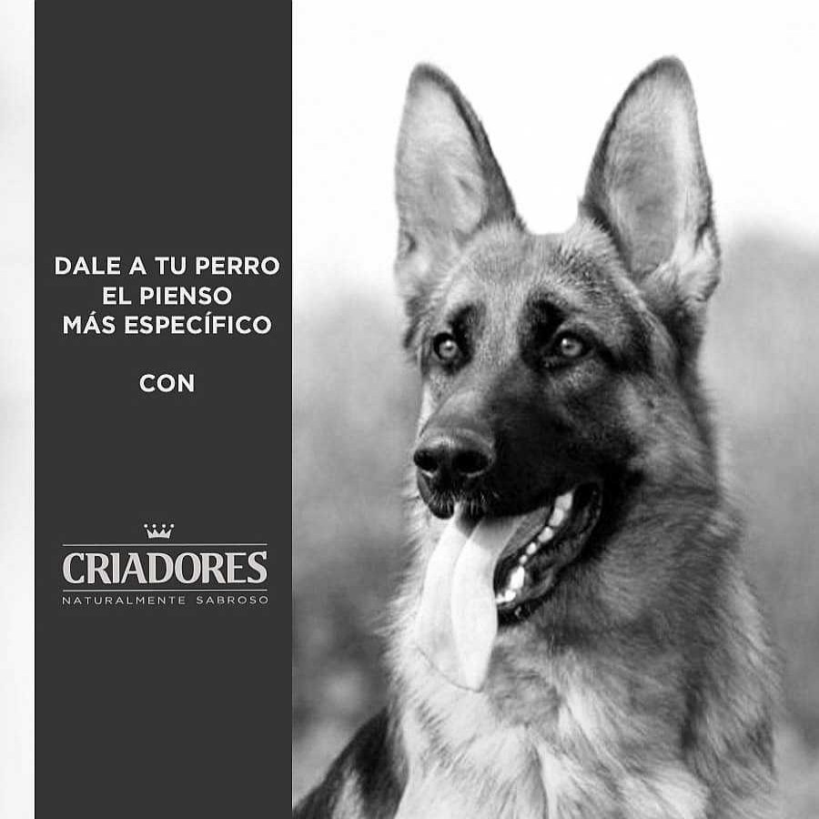 Perros Criadores | Criadores Adulto Cordero Y Arroz Pienso Para Perros De Razas Mediana Y Grande