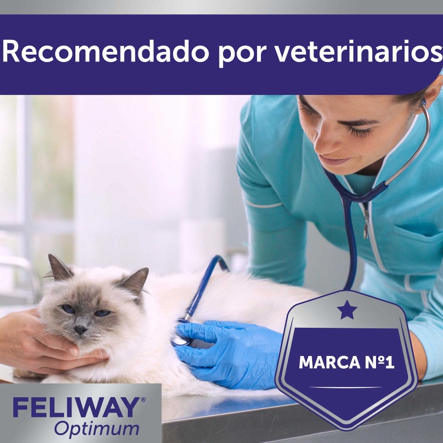 Gatos Feliway Educaci N | Feliway Optimum Difusor Tranquilizante Para Gatos