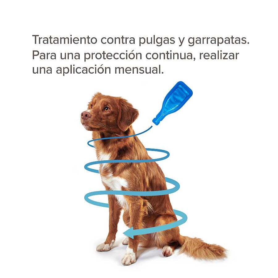 Perros Beaphar Pipetas | Beaphar Fiprotec Pipetas Para Perros De Razas Peque As