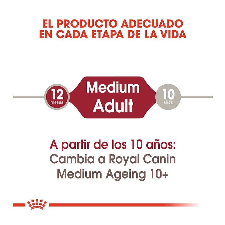 Perros Royal Canin | Royal Canin Medium Adult Sobre En Salsa Para Perros