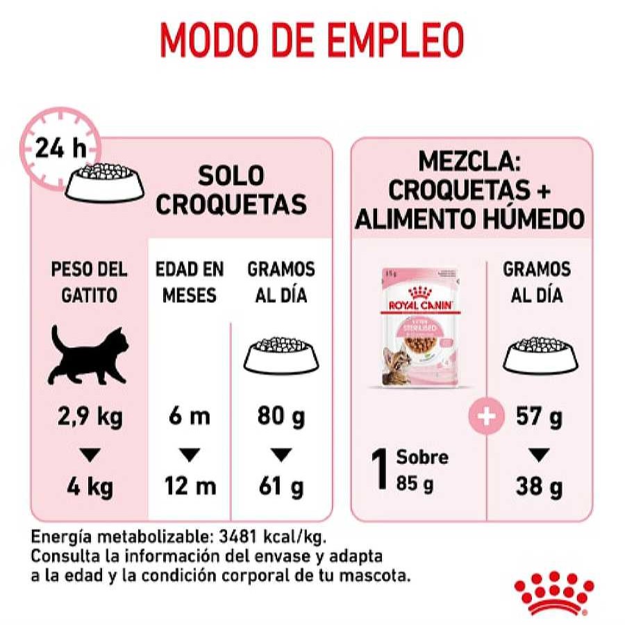 Gatos Royal Canin | Royal Canin Kitten Sterilised Pienso Para Gatos