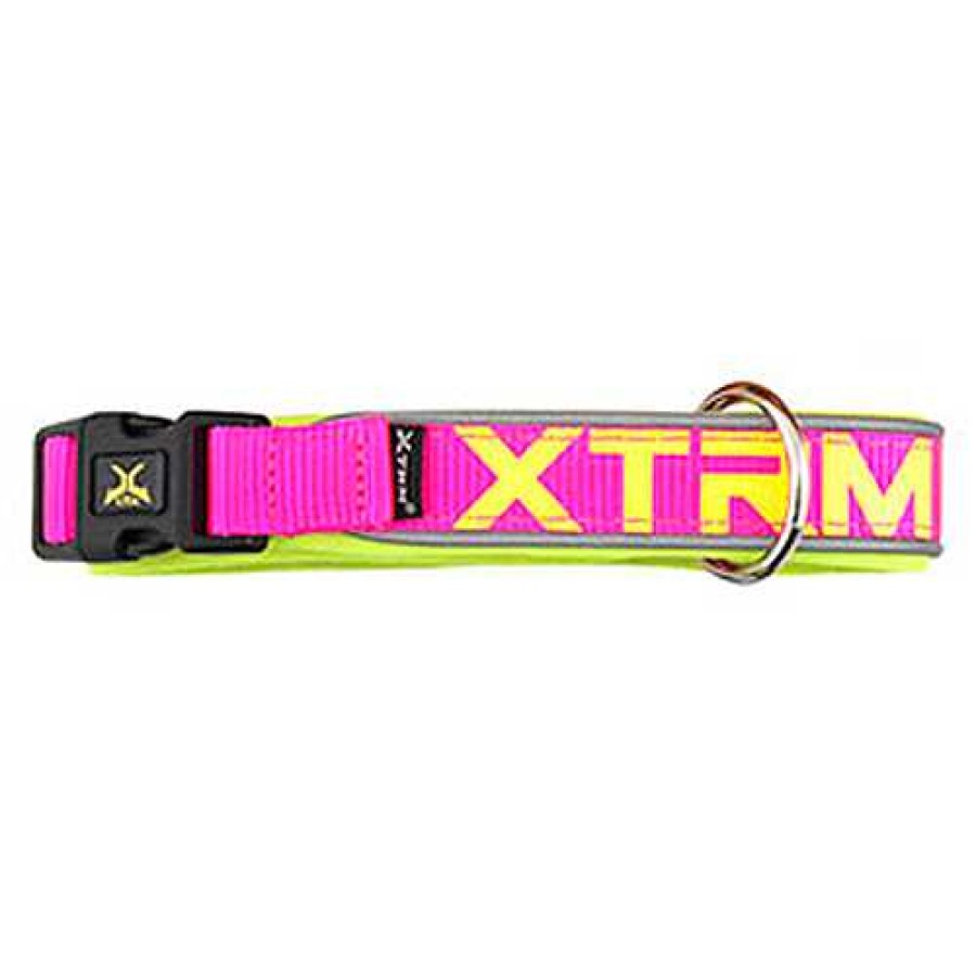 Perros Nayeco Collares Y Arneses | X-Trm Neon Flash Collar Fucsia Para Perros