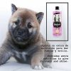 Gatos Petuxe Cosmetics Productos Para El Pelo | Petuxe Champ Para Cachorros Vegano