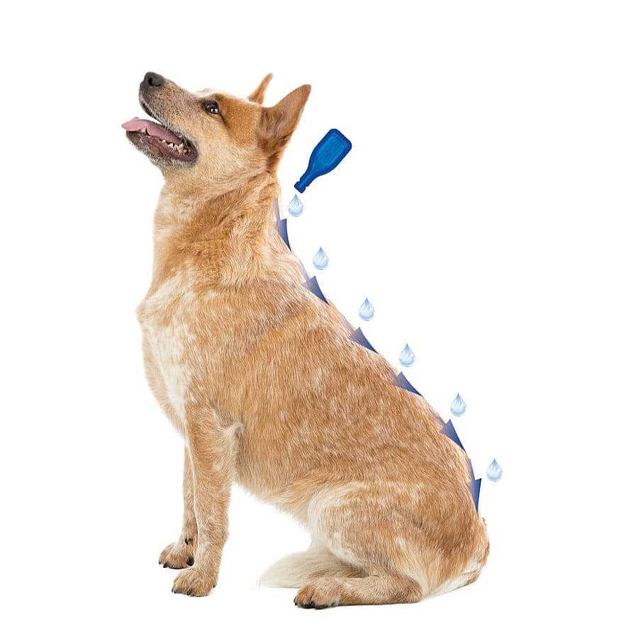 Perros Beaphar Pipetas | Beaphar Caniguard Duo Pipetas Antiparasitarias Para Perros Medianos