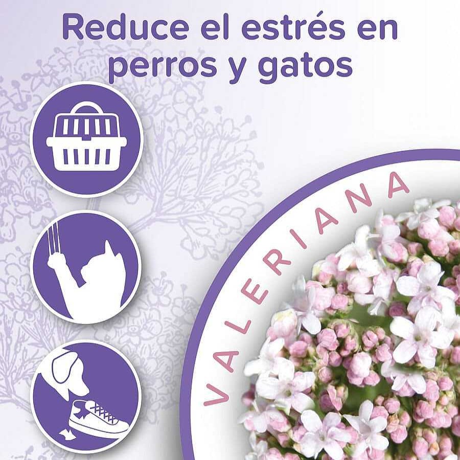 Gatos Beaphar Productos Para La Salud | Beaphar Calming Spray Ambiente Relajante Para Gatos Y Perros