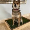 Perros PetGround Limpieza Hogar | Petground Cajas De Madera Para Perros