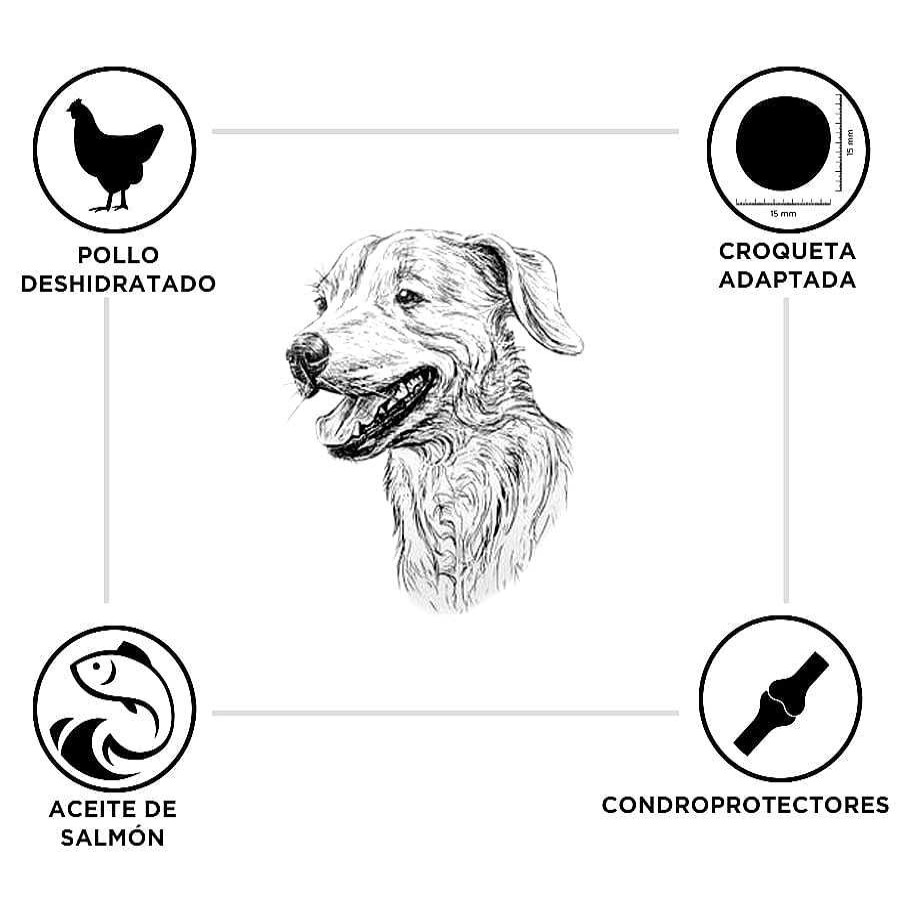 Perros Criadores | Criadores Pollo Y Arroz Pienso Para Cachorros De Razas Grandes