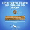 Perros Dentalife Dentales | Dentalife Snacks Dentales Para Perros De Raza Mediana