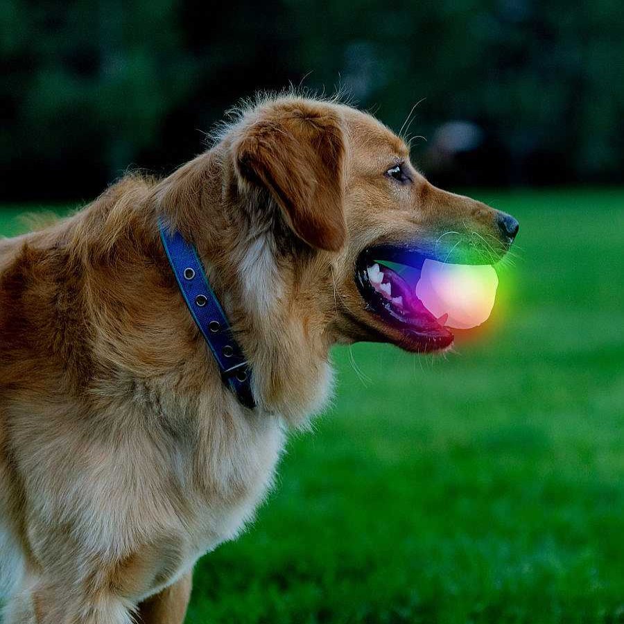 Perros Nite Ize Ocio Y Tiempo Libre | Nite Ize Glowstreak Disc-O Led Pelota Para Perros