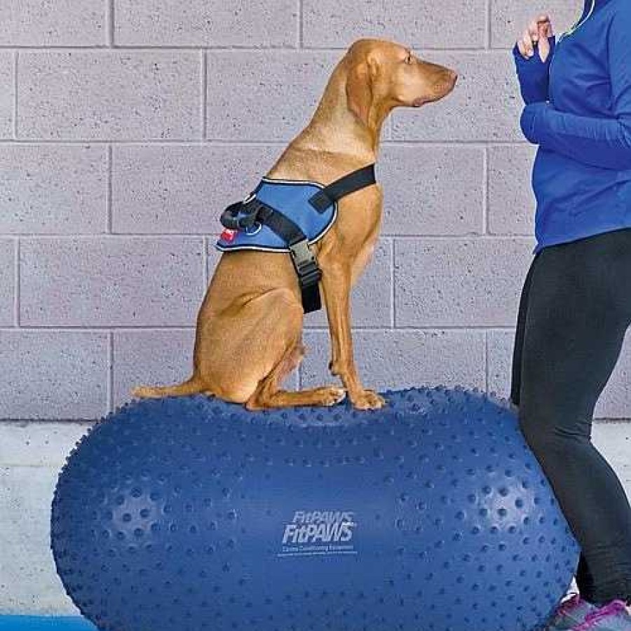 Perros Fitpaws Agility | Plataforma De Equilibrio Para Mascotas Color Azul