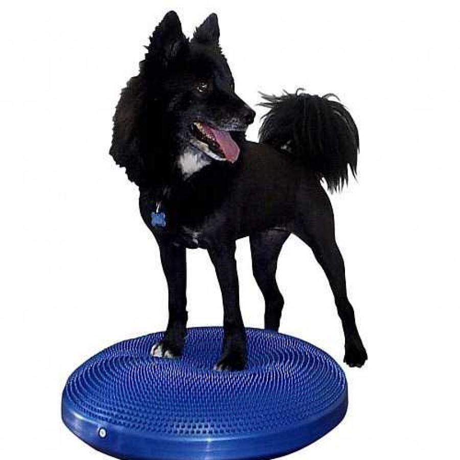 Perros Fitpaws Agility | Disco De Equilibrio Para Mascotas Color Azul