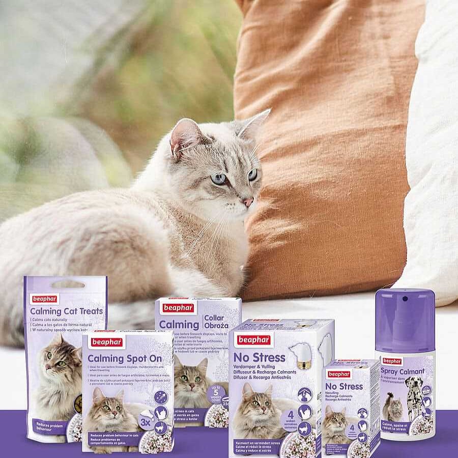 Gatos Beaphar Productos Para La Salud | Beaphar Calming Collar Relajante Para Gatos