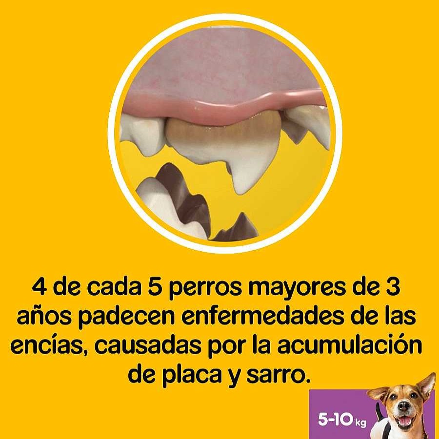 Perros Pedigree Dentales | Pedigree Dentastix Fresh Snacks Dentales Para Perros Peque Os