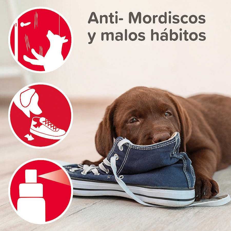 Perros Beaphar Adiestramiento Y Educaci N | Beaphar Stop It Educador Para Interior Antimicciones Y Antimordeduras