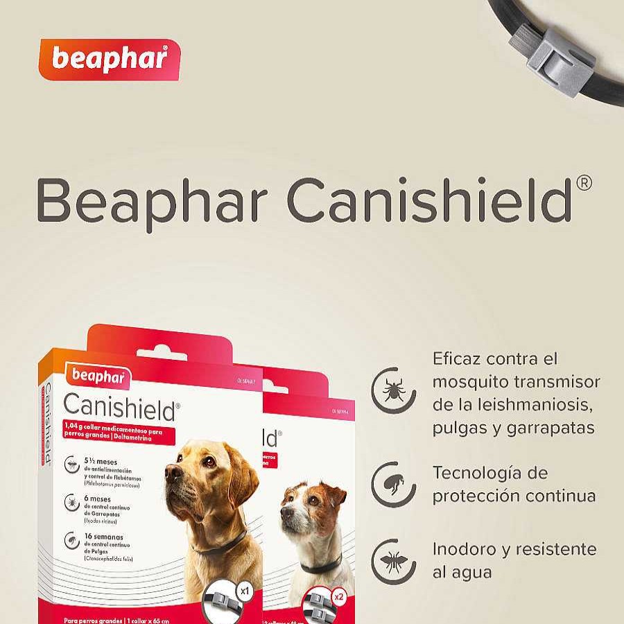 Perros Beaphar Collares Antiparasitarios | Beaphar Canishield Collar Antiparasitario Para Perros Peque Os Y Medianos