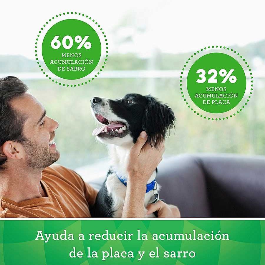 Perros Greenies Dentales | Greenies Snacks Dentales 100% Natural Para Perros Medianos