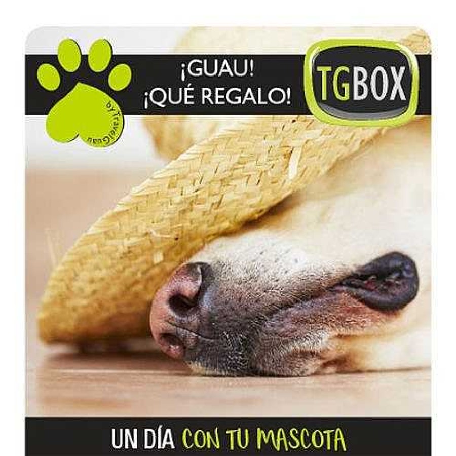 Otros Animales Tgbox Servicios | Un D A Con Tu Mascota Tgbox