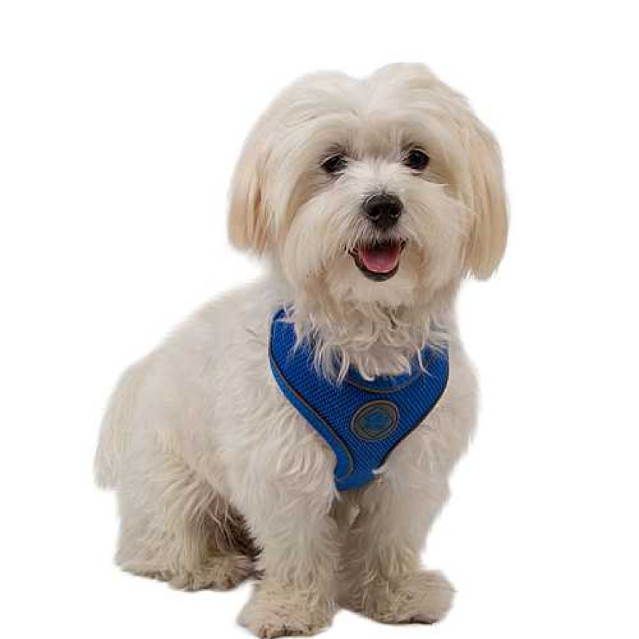 Perros TK-Pet Collares Y Arneses | Tk-Pet Soft Arn S Reflectante Azul Para Perros