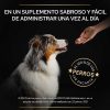 Perros Pro Plan Suplementos Nutrici N | Pro Plan Multivitamin Suplemento Para Perros