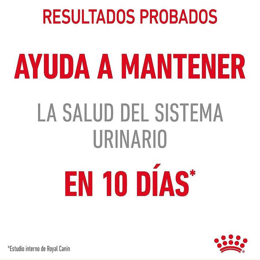 Gatos Royal Canin | Royal Canin Urinary Sobre En Salsa Para Gatos