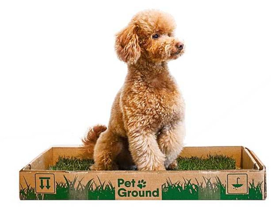 Perros Petground Limpieza Hogar | Petground Standard Empapador Natural Para Perros