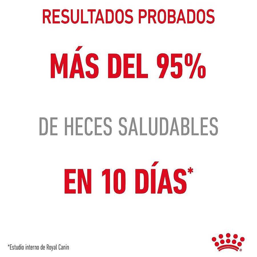 Gatos Royal Canin | Royal Canin Digestive Sensitive Sobre Para Gatos