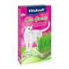 Gatos Vitakraft Hierba | Vitakraft Cat Grass Hierba Gatera