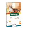 Gatos Advantage Pipetas | Advantage Pipetas Antiparasitarias Para Gatos