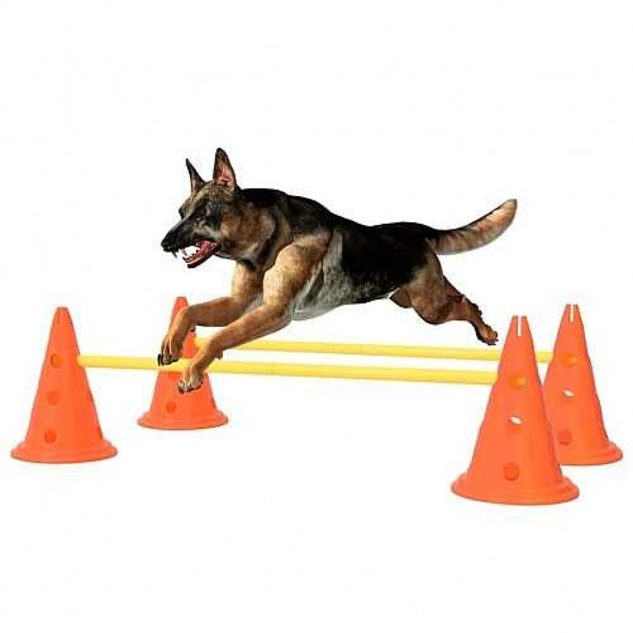 Perros VidaXL Agility | Vidaxl Obst Culo De Actividades Naranja Para Perros